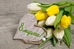 Поздравляем женщин с 8 Марта! Поздравляем женщин с 8 Марта!